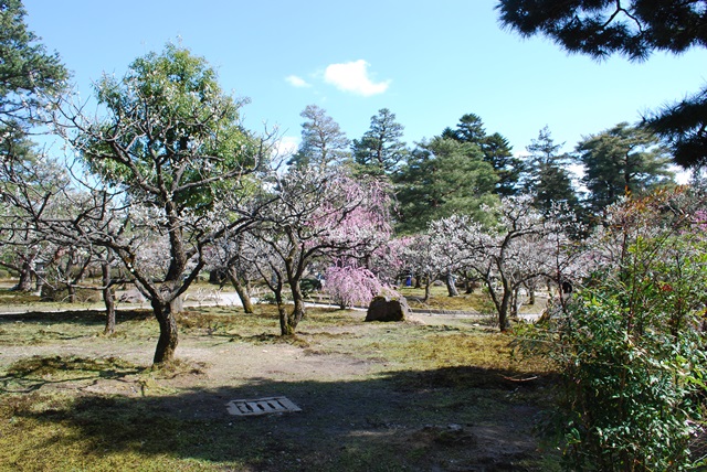 2013.3.21 hokuriku_noto